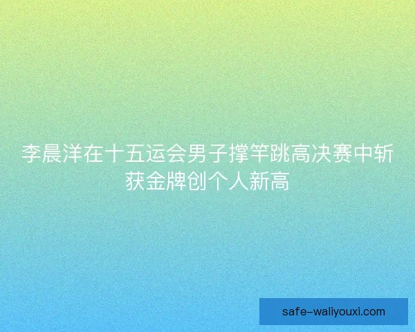 李晨洋在十五运会男子撑竿跳高决赛中斩获金牌创个人新高